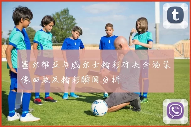 塞尔维亚与威尔士精彩对决全场录像回放及精彩瞬间分析